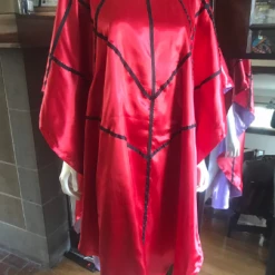 Tidal Cool Cartoon Lydia Deetz Beetlejuice Costume Or Cosplay Tunic Costumes And Cosplay