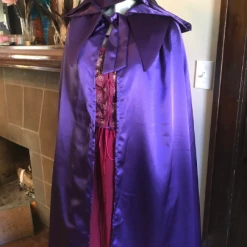 Tidal Cool Hocus Pocus Sanderson Sisters Cosplay Witch Costumes