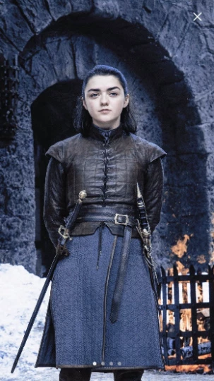 Tidal Cool Costumes And Cosplay Arya Stark Game Of Thrones Costume Cosplay GOT