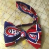 Tidal Cool NHL Montreal Canadiens Neckties In Bow Tie, Skinny Tie, And Standard Tie Styles, Kids Or Adult Sizes Neckties, Vests, Pocket Squares And Cummerbunds