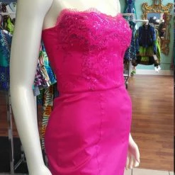 Tidal Cool Dresses Fuchsia Lace And Shantung Fitted Dress