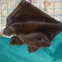 Tidal Cool Swoop NFL Philadelphia Eagles Mascot In Kids Or Adult Sizes Costumes And Cosplay