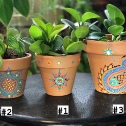 Tidal Cool Rainbow Henna Design Hand Painted Terra Cotta Pots