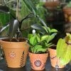 Tidal Cool Henna Art And Decor Colorful Henna Design Hand Painted Terra Cotta Pots