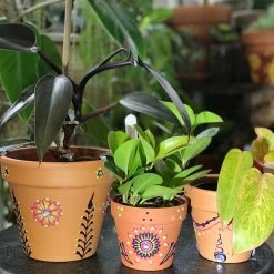 Tidal Cool Henna Art And Decor Colorful Henna Design Hand Painted Terra Cotta Pots