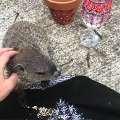 Tidal Cool Hand Painted Wine Glasses In Colorful Henna Design