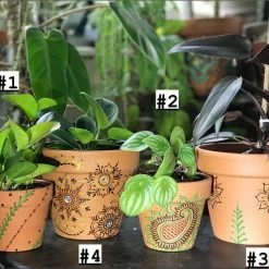 Tidal Cool Earthy Henna Design Hand Painted Terra Cotta Pots Henna Art And Decor