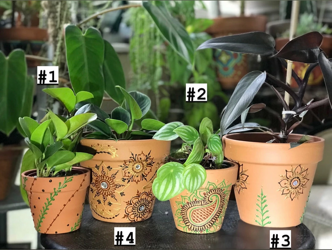 Tidal Cool Earthy Henna Design Hand Painted Terra Cotta Pots Henna Art And Decor