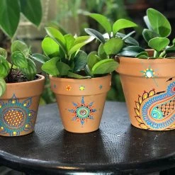 Tidal Cool Rainbow Henna Design Hand Painted Terra Cotta Pots