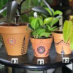 Tidal Cool Henna Art And Decor Colorful Henna Design Hand Painted Terra Cotta Pots